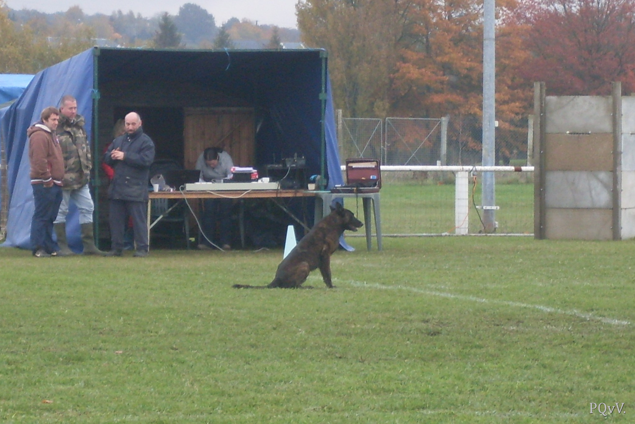  Chabal du Domaine des Sphinx Noirs